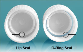 O-Ring &amp;amp;amp;amp; Lip Seals